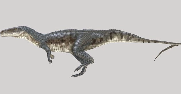 They Actually Existed! Top 10 Prehistoric Creatures with Adaptations That Defy Logic