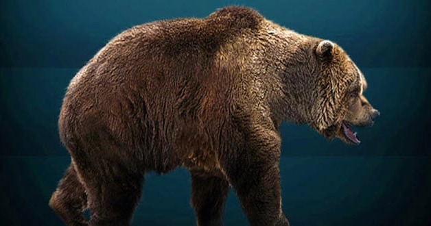 They Actually Existed! Top 10 Prehistoric Creatures with Adaptations That Defy Logic