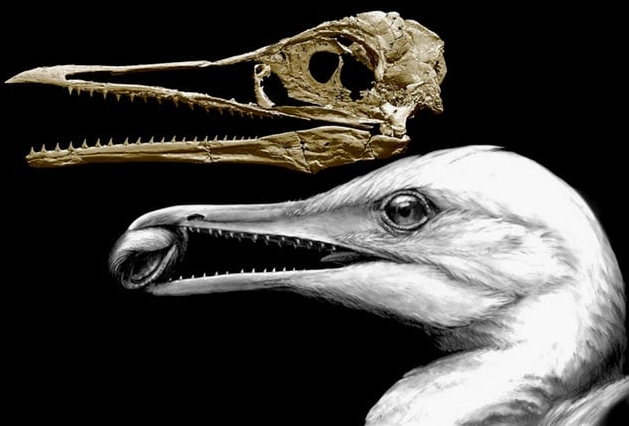 They Actually Existed! Top 10 Prehistoric Creatures with Adaptations That Defy Logic