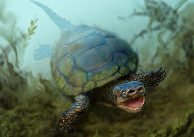 They Actually Existed! Top 10 Prehistoric Creatures with Adaptations That Defy Logic